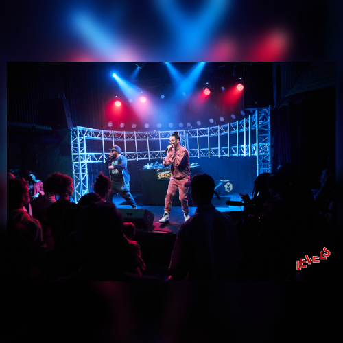 LEVELS: ROCK THE CROWD 2